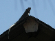 PICT0408