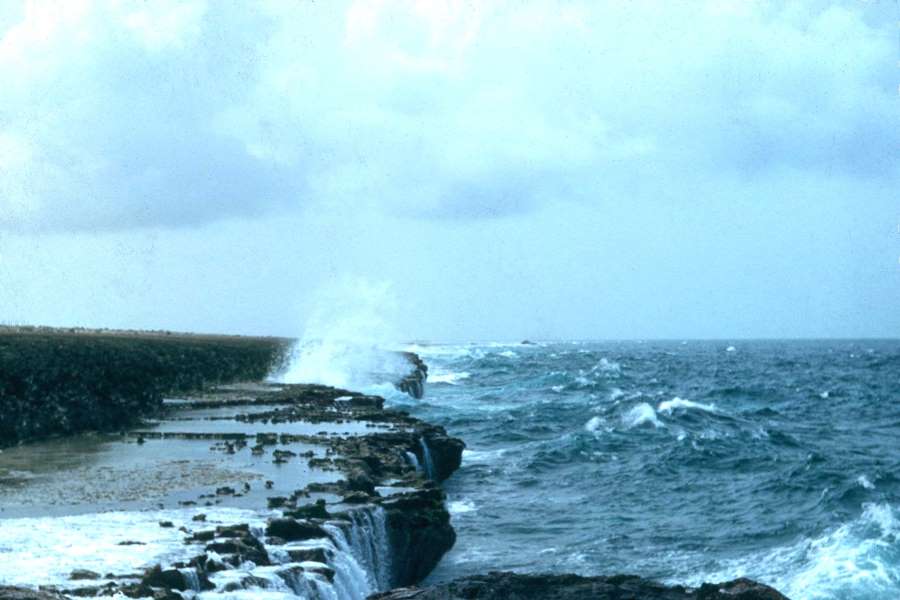 Cnc06WindwardShore.jpg