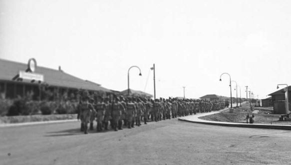 scotts_troops_5.jpg