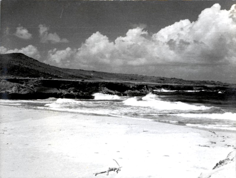 194xdaimaribeach.jpg