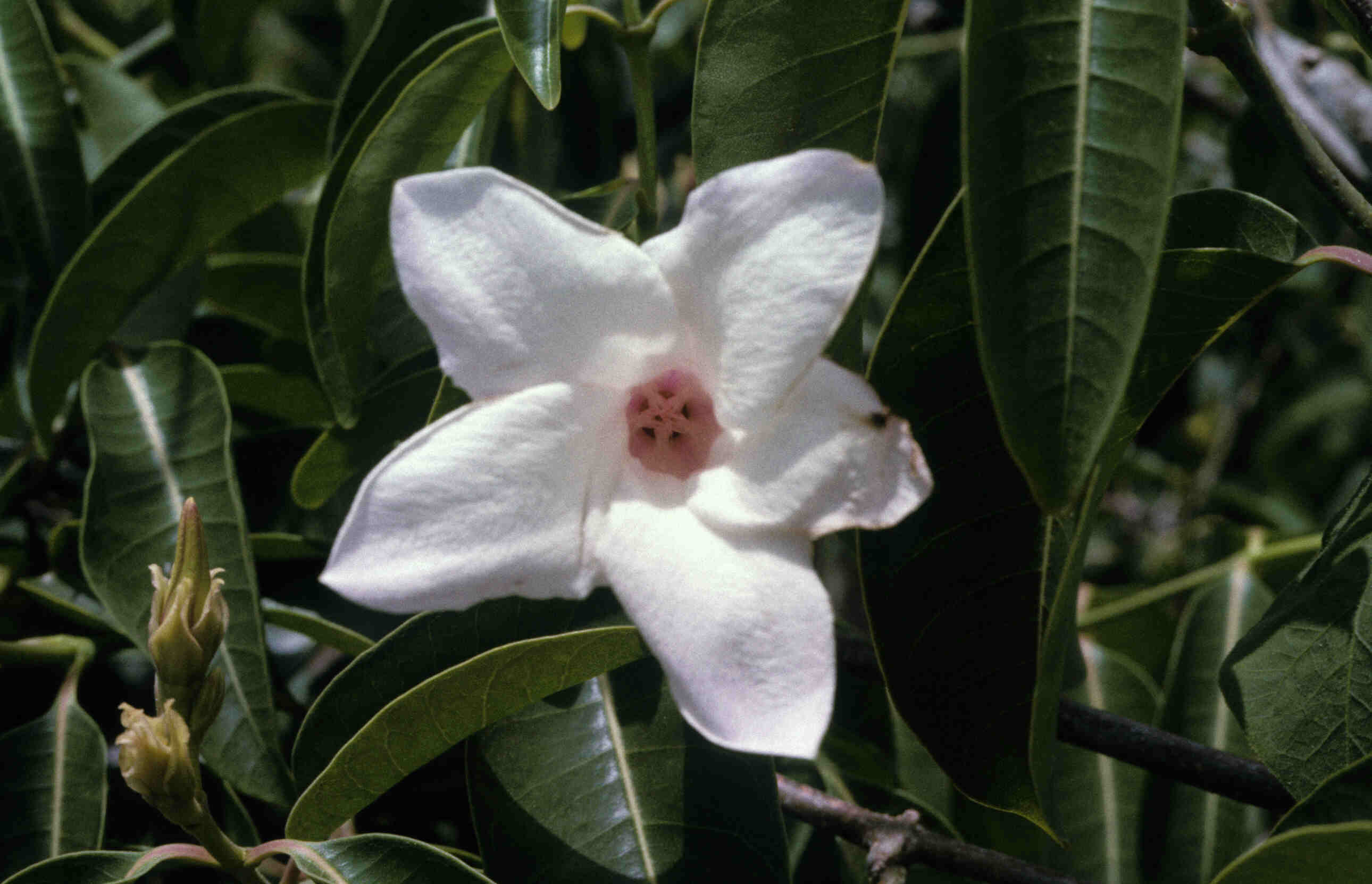 UNKNOWN_0012.jpg