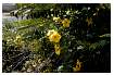ALAMANDA_0016.jpg