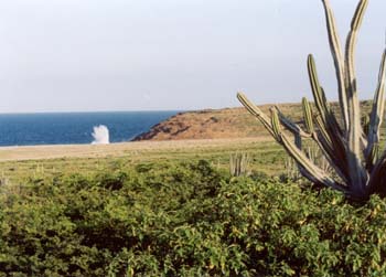 aruba 2005 colorado point